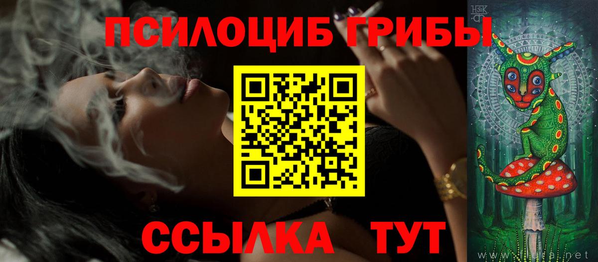 Псилоцибиновые грибы Magic Shrooms  Вход с VPN  Качканар 